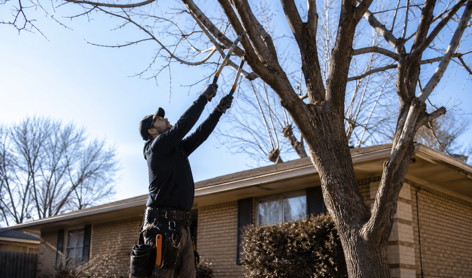 Professional arborist trimming a mature residential tree in the Texas Panhandle during the recommended pruning season.